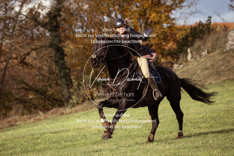 Schleppjagd_Harburg-042-2-2