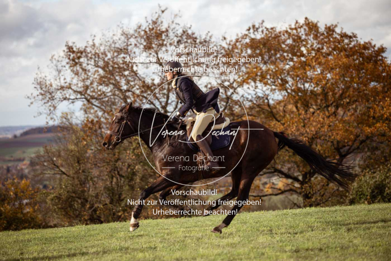 Schleppjagd_Harburg-044-2