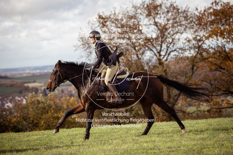 Schleppjagd_Harburg-045-2-2