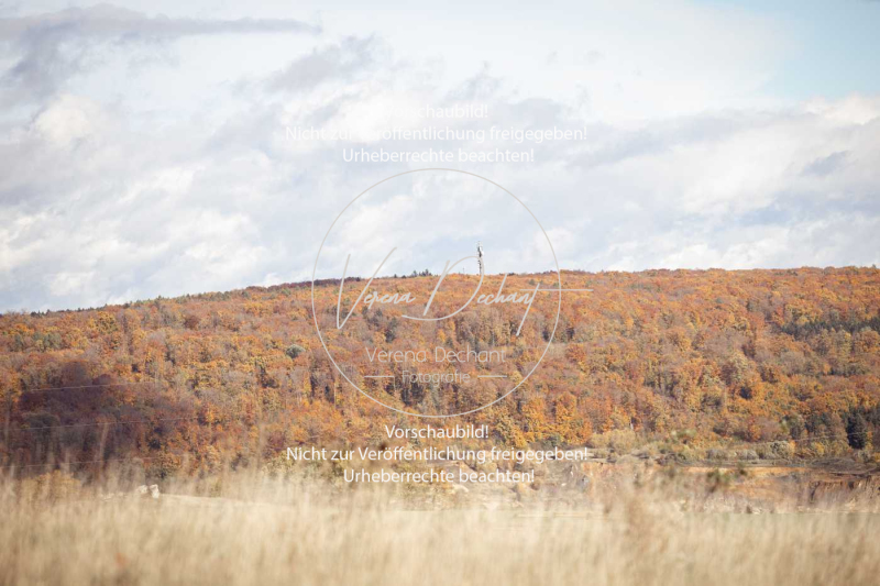 Schleppjagd_Harburg-045-2