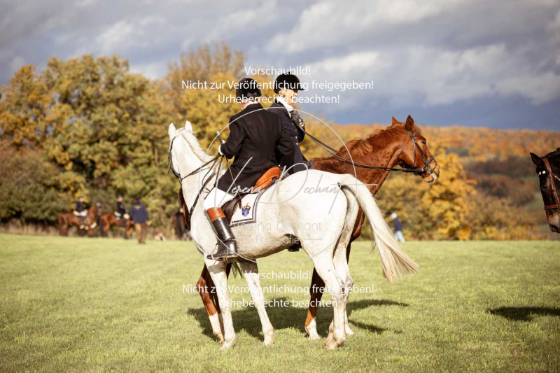 Schleppjagd_Harburg-047-2