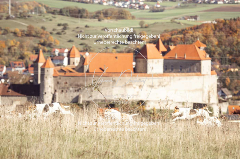 Schleppjagd_Harburg-052