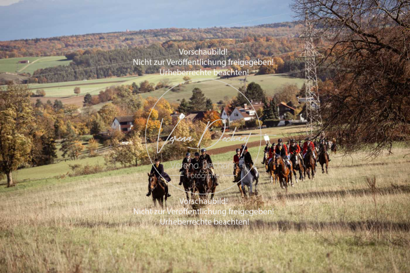 Schleppjagd_Harburg-058-2