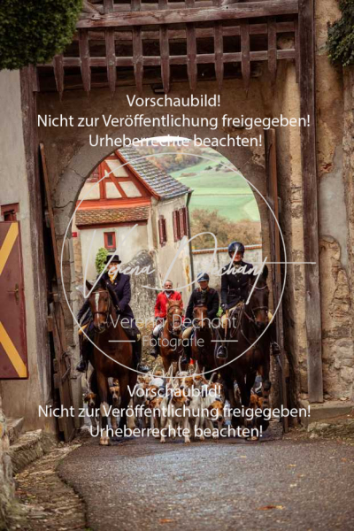 Schleppjagd_Harburg-105