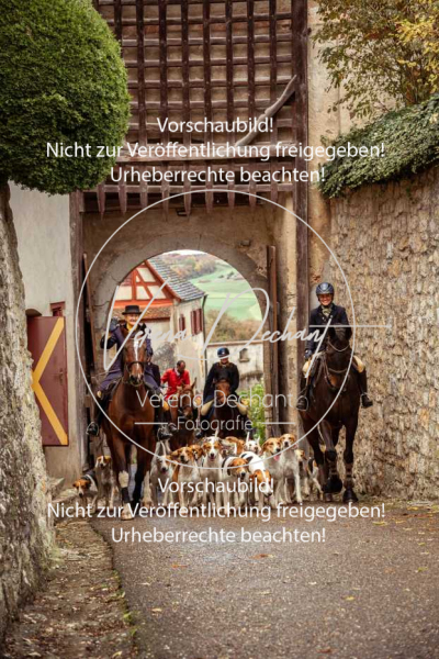 Schleppjagd_Harburg-110