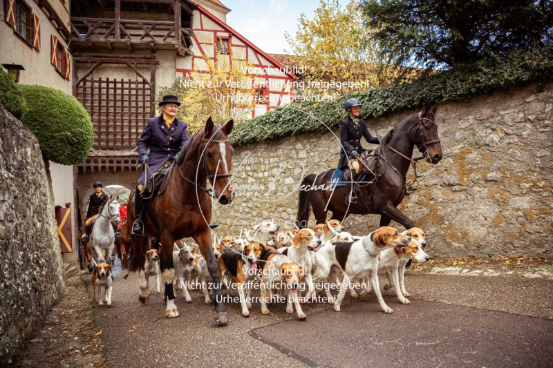 Schleppjagd_Harburg-118