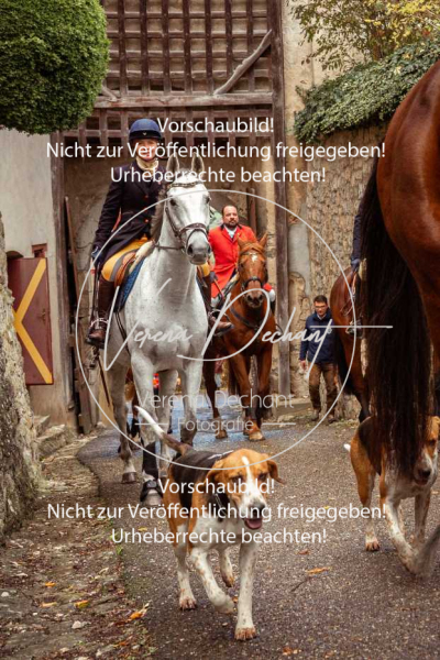 Schleppjagd_Harburg-119