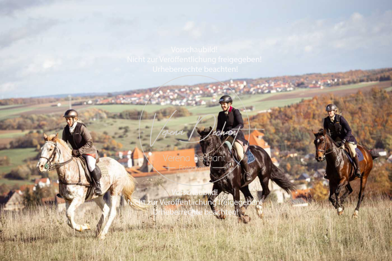 Schleppjagd_Harburg-123