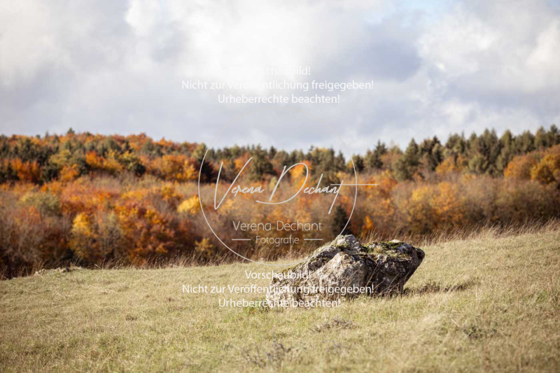 Schleppjagd_Harburg-126