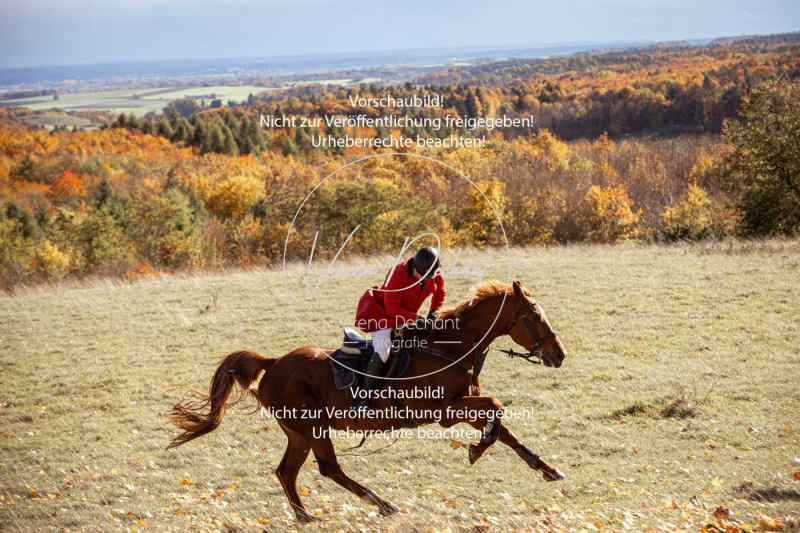 Schleppjagd_Harburg-133