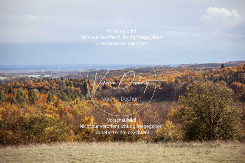 Schleppjagd_Harburg-135