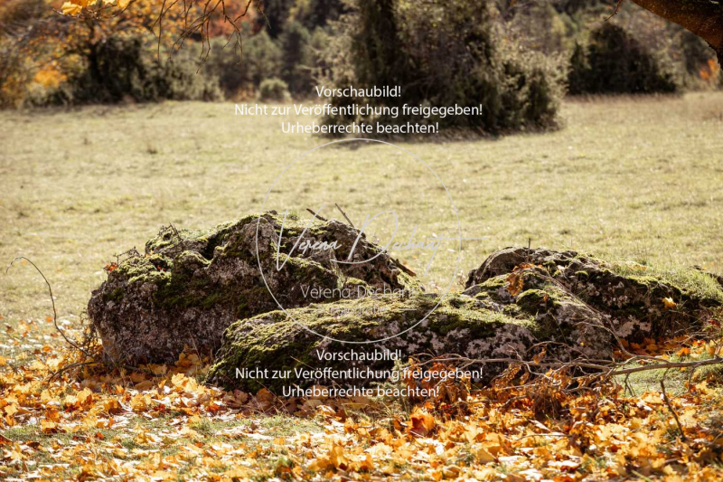 Schleppjagd_Harburg-137-2