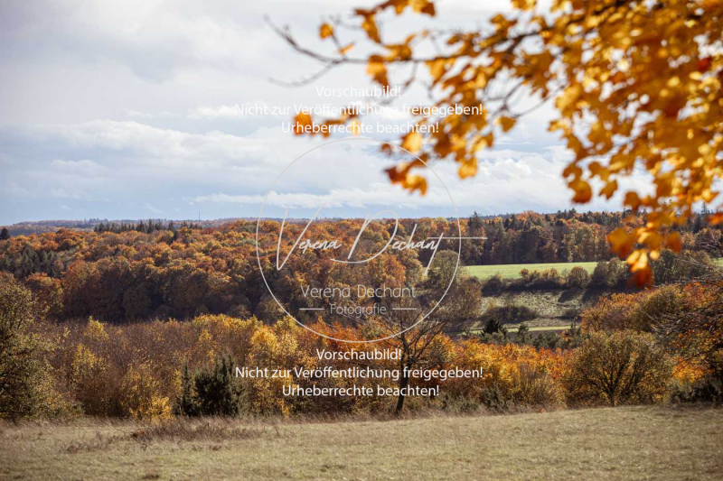 Schleppjagd_Harburg-139