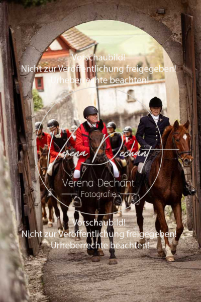 Schleppjagd_Harburg-156-2