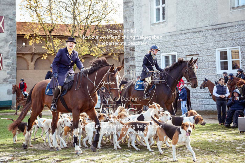 Schleppjagd_Harburg-158