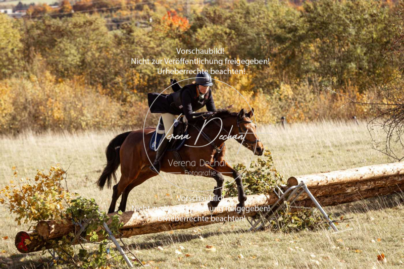 Schleppjagd_Harburg-168