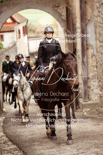 Schleppjagd_Harburg-172-2