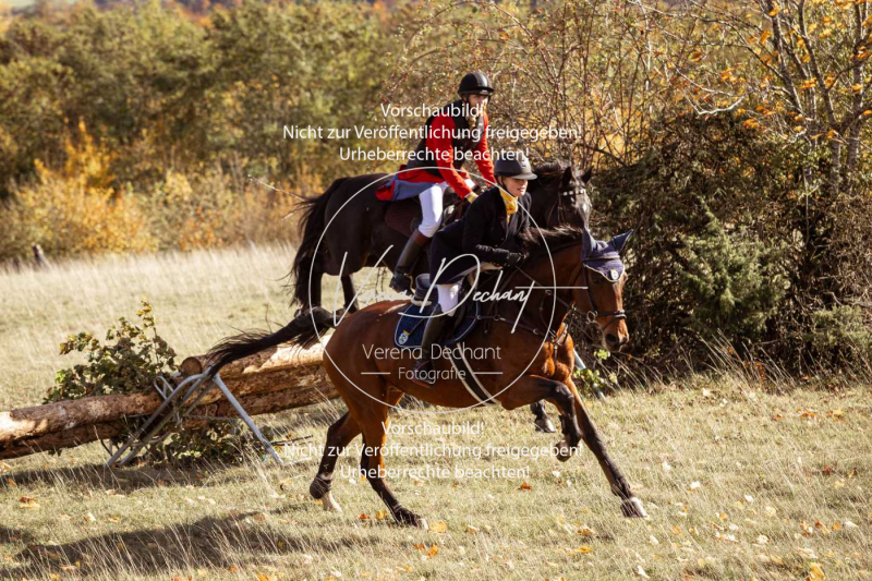 Schleppjagd_Harburg-180