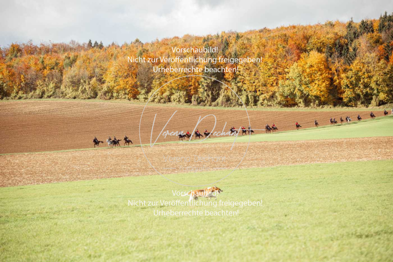 Schleppjagd_Harburg-181-2