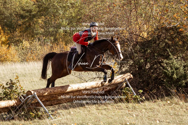 Schleppjagd_Harburg-181