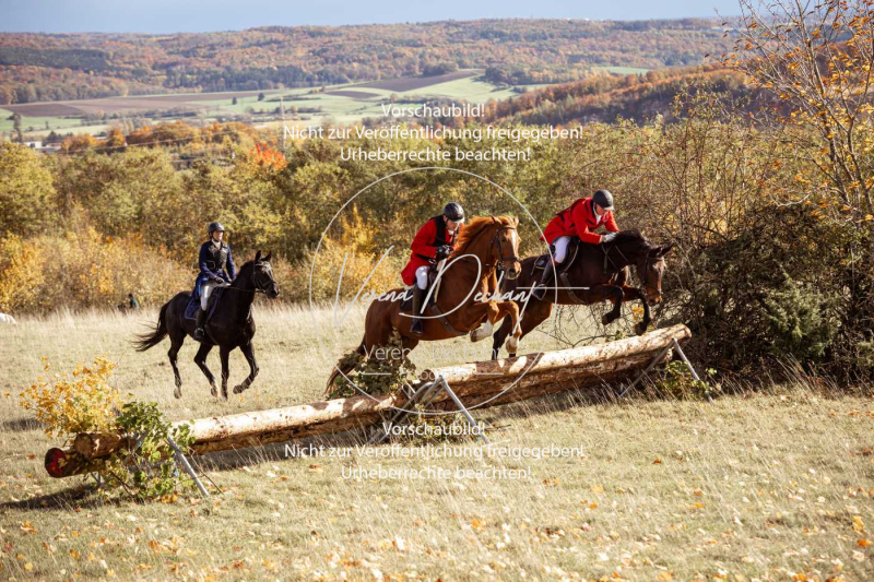 Schleppjagd_Harburg-184