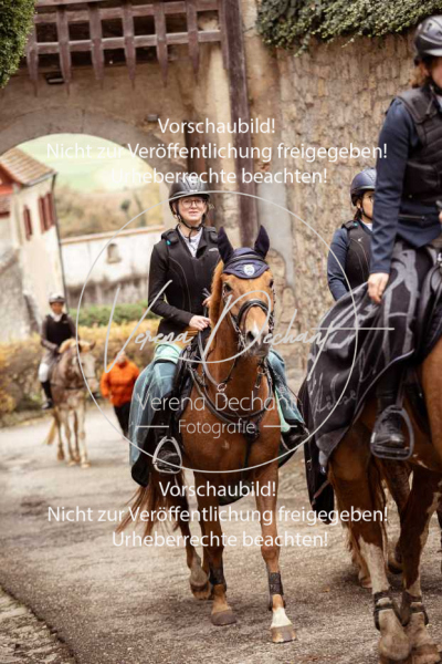 Schleppjagd_Harburg-185-2-2