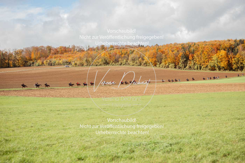 Schleppjagd_Harburg-185-2