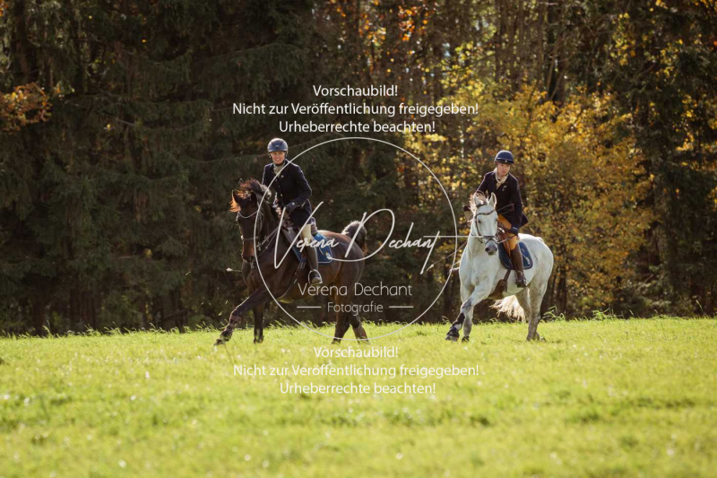 Schleppjagd_Harburg-188-2