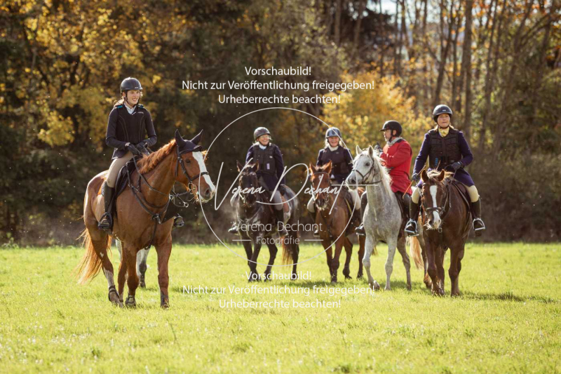 Schleppjagd_Harburg-199-2