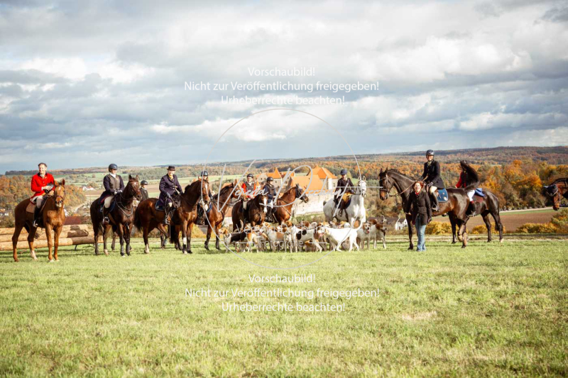 Schleppjagd_Harburg-209-2