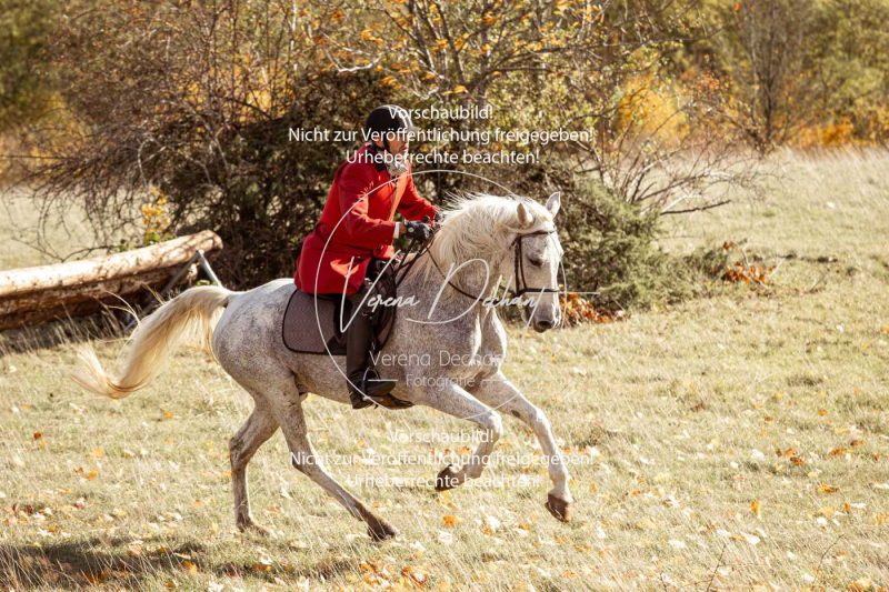 Schleppjagd_Harburg-219