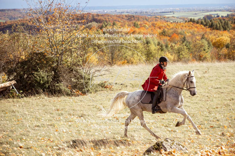Schleppjagd_Harburg-220