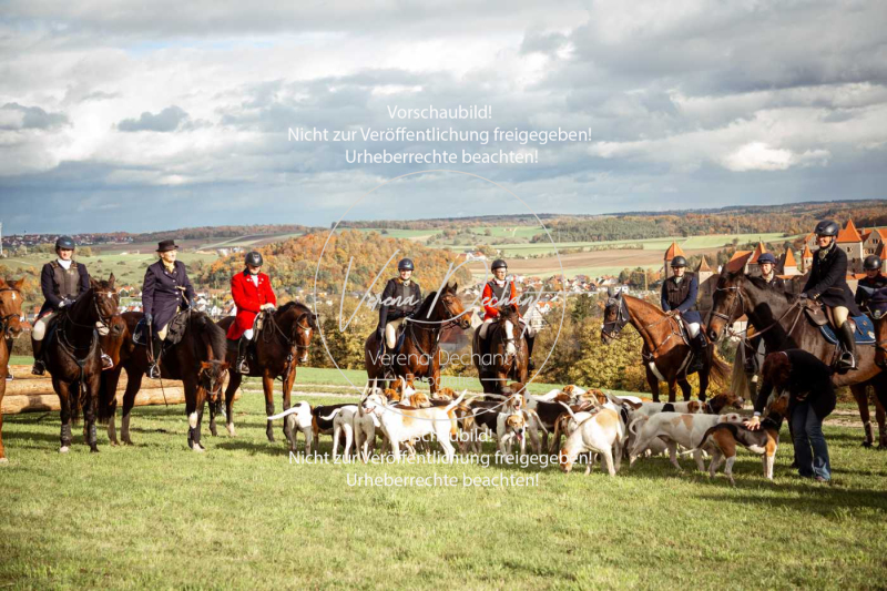 Schleppjagd_Harburg-221-2