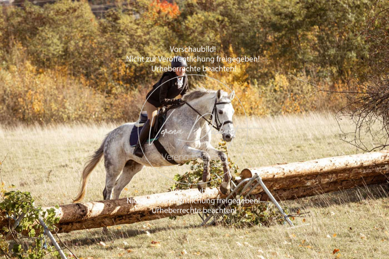 Schleppjagd_Harburg-221