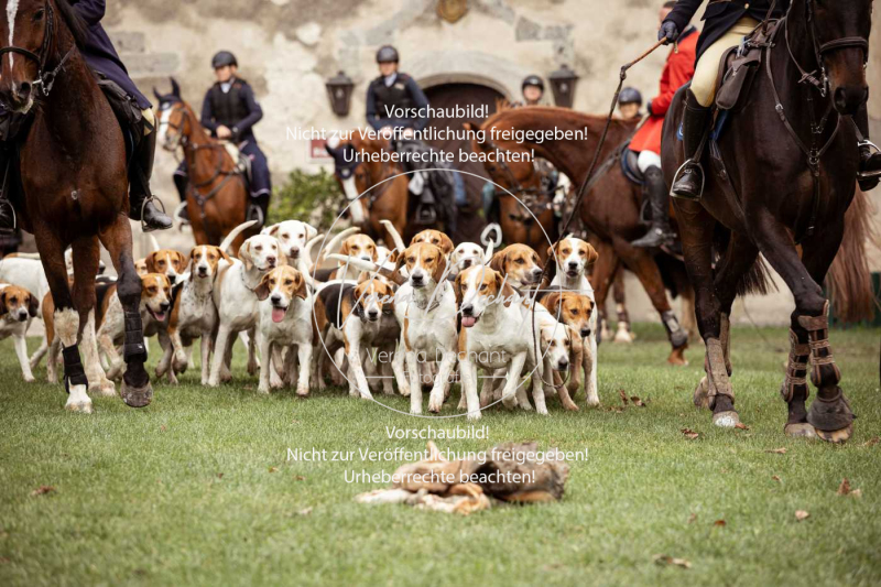 Schleppjagd_Harburg-226-2