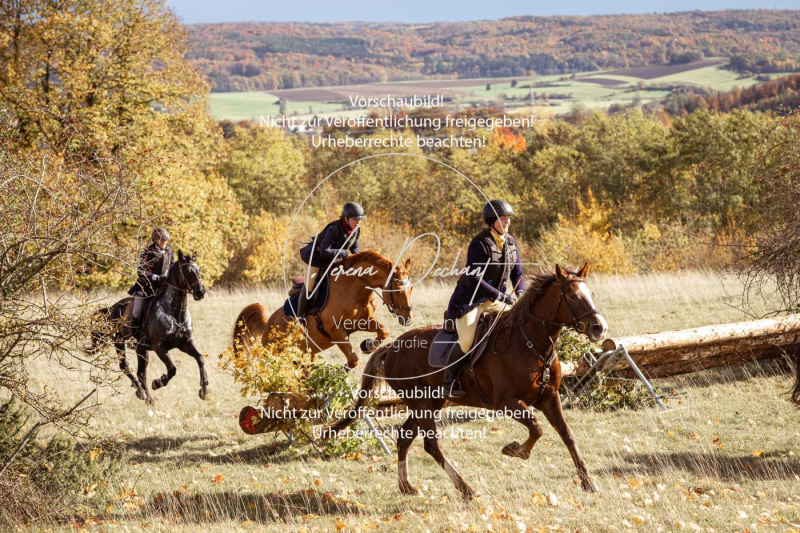 Schleppjagd_Harburg-227