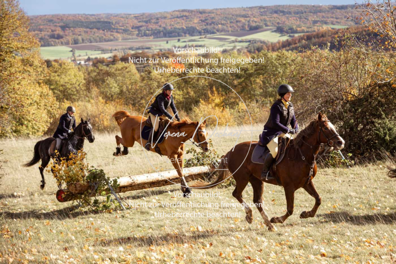 Schleppjagd_Harburg-228