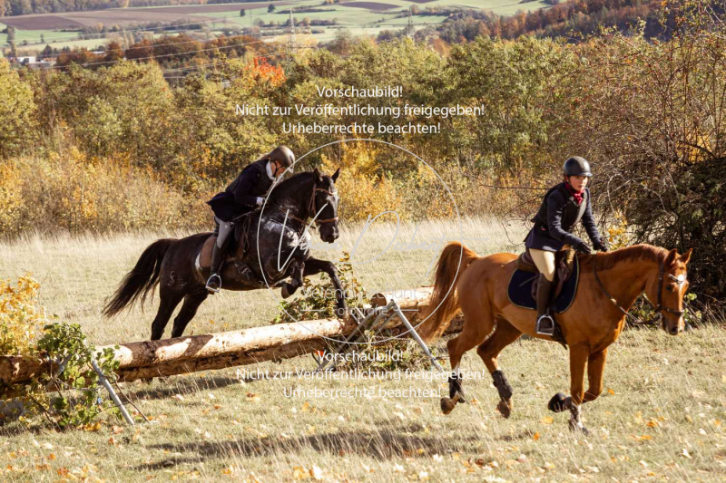 Schleppjagd_Harburg-230