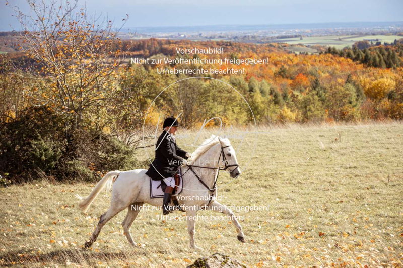 Schleppjagd_Harburg-237