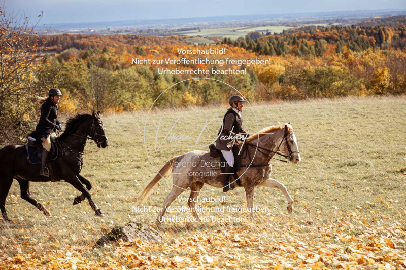 Schleppjagd_Harburg-247