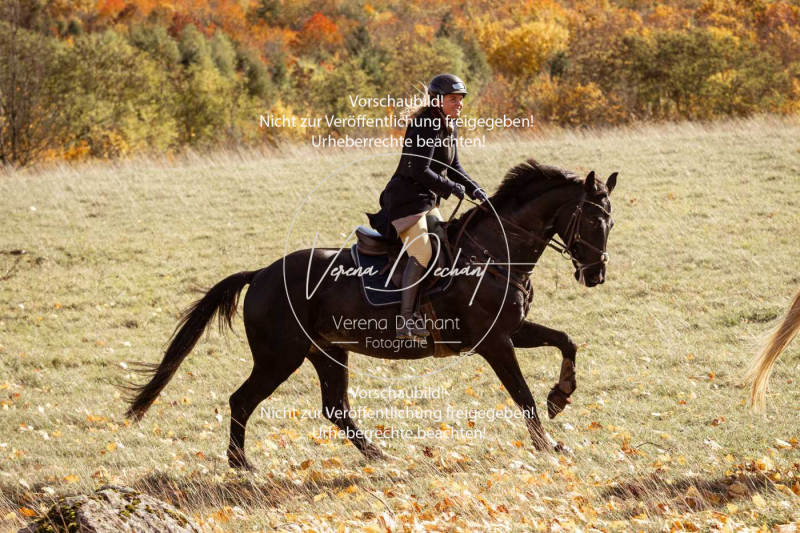 Schleppjagd_Harburg-249