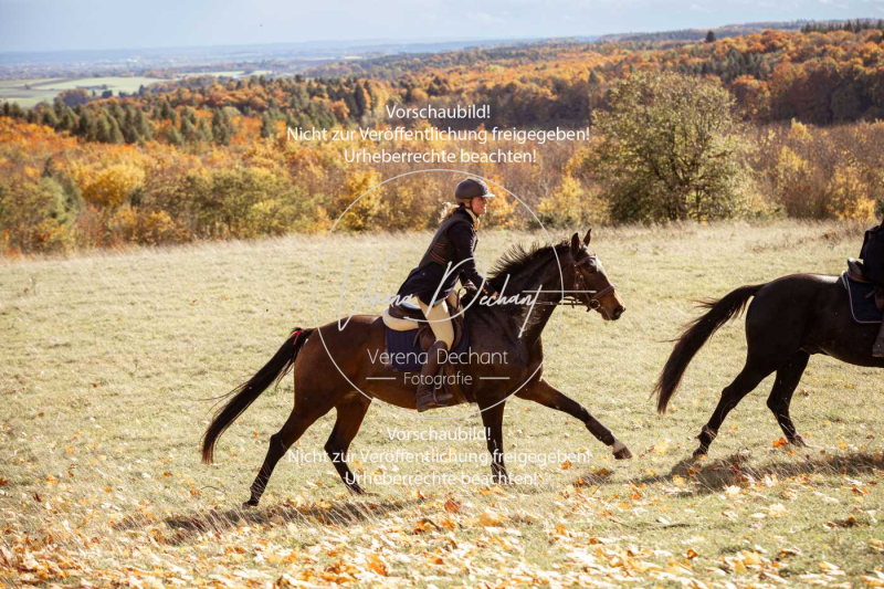 Schleppjagd_Harburg-252