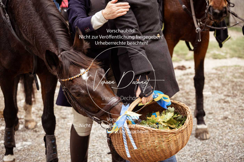 Schleppjagd_Harburg-256-2