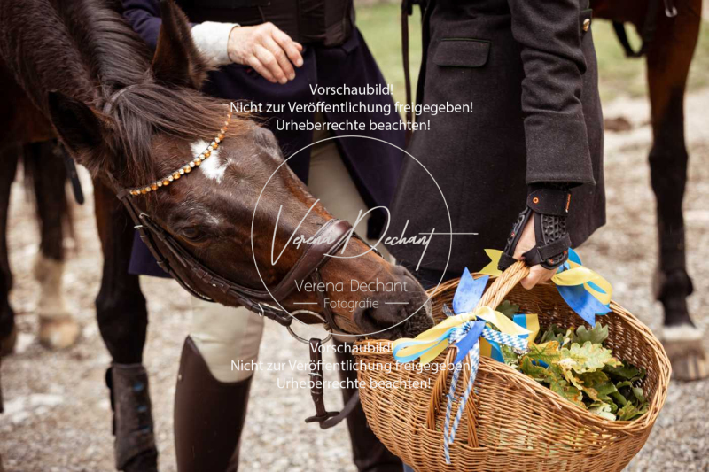 Schleppjagd_Harburg-257-2