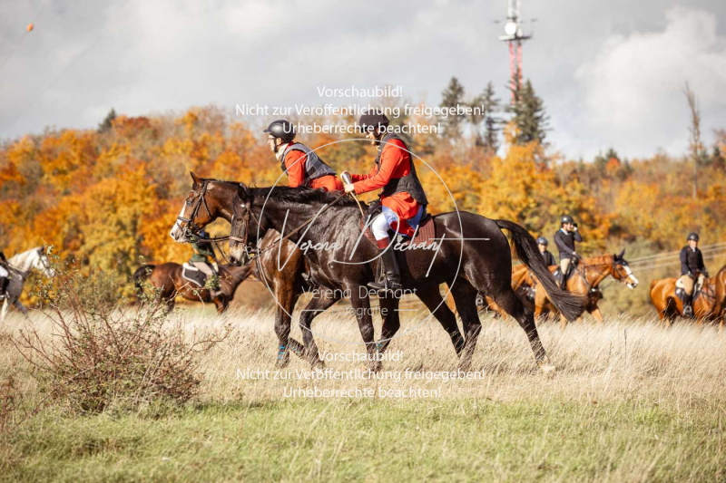 Schleppjagd_Harburg-257