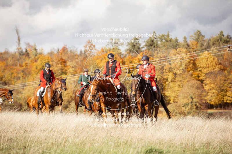 Schleppjagd_Harburg-258