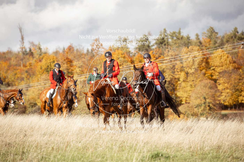 Schleppjagd_Harburg-259