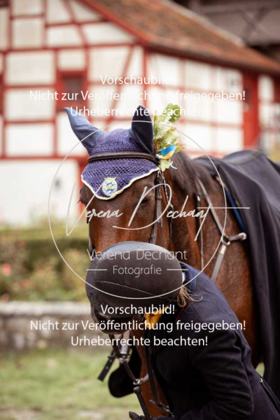 Schleppjagd_Harburg-267-2