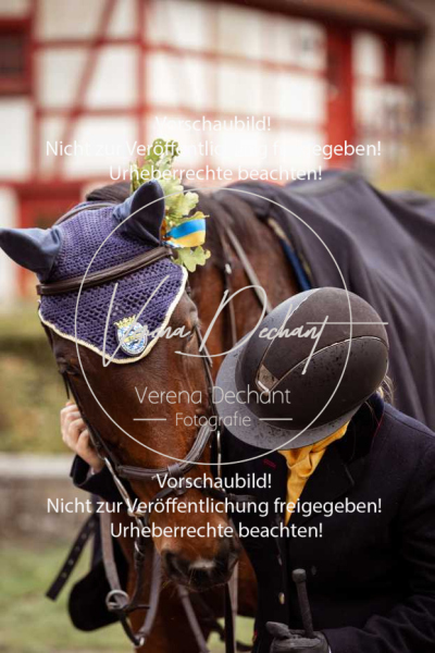 Schleppjagd_Harburg-269-2