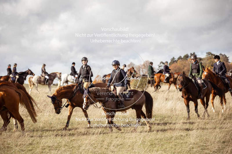 Schleppjagd_Harburg-269